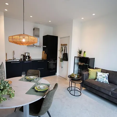 Lejlighed Natural Loft